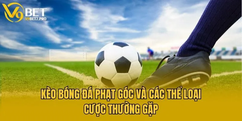 Kèo bóng đá phạt góc và các thể loại cược thường gặp