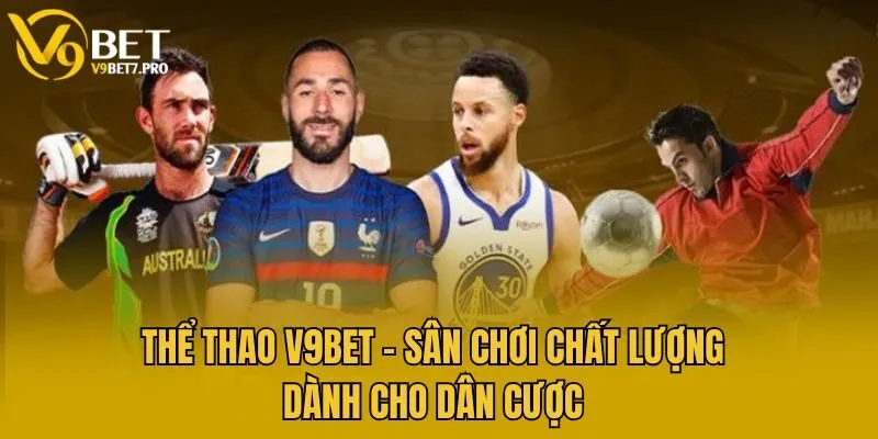 Thể thao V9bet - Sân chơi chất lượng dành cho dân cược
