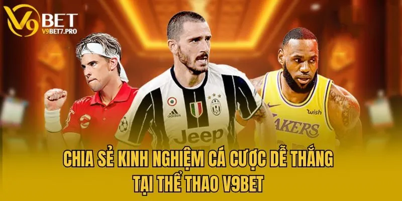 Chia sẻ kinh nghiệm cá cược dễ thắng tại thể thao V9bet